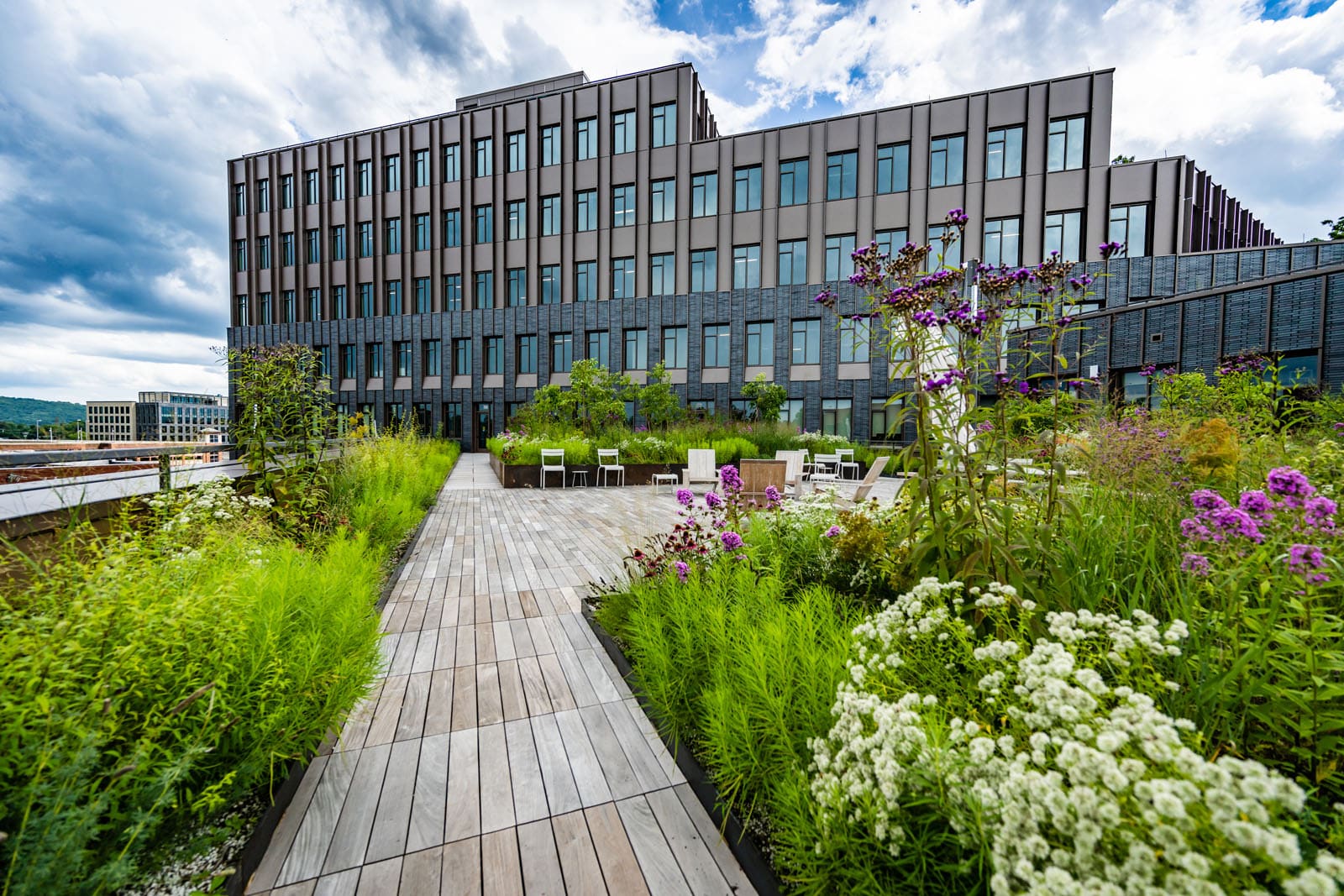 A modern multi-story building with a geometric facade, surrounded by garden with wooden pathways and purple flowers under a cloudy sky.