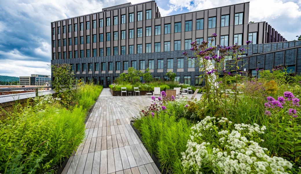 A modern multi-story building with a geometric facade, surrounded by garden with wooden pathways and purple flowers under a cloudy sky.