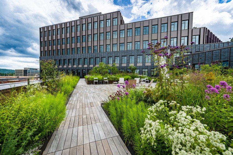 A modern multi-story building with a geometric facade, surrounded by garden with wooden pathways and purple flowers under a cloudy sky.
