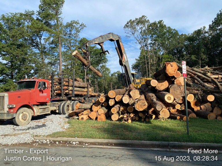 Truck hauling away timber
